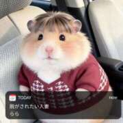 ヒメ日記 2026/07/16 14:06 投稿 らら 脱がされたい人妻 越谷店