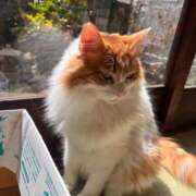 ヒメ日記 2026/03/20 23:09 投稿 かなた 性感エステBianca新大阪店