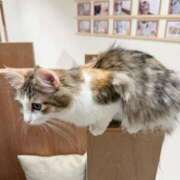 ヒメ日記 2026/01/22 13:09 投稿 なのは★UL対応 Blue Moon