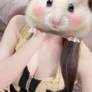 ヒメ日記 2026/01/29 13:00 投稿 なのは★UL対応 Blue Moon