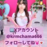 ヒメ日記 2025/12/19 19:18 投稿 クロミ ジャパンクラブ富士