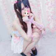 ヒメ日記 2026/01/15 13:47 投稿 クロミ ジャパンクラブ富士