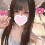 ヒメ日記 2026/03/03 00:02 投稿 クロミ ジャパンクラブ富士