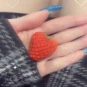 ヒメ日記 2026/03/24 00:12 投稿 クロミ ジャパンクラブ富士