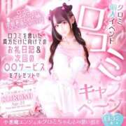 ヒメ日記 2026/04/10 00:02 投稿 クロミ ジャパンクラブ富士