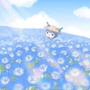 ヒメ日記 2026/04/23 07:02 投稿 クロミ ジャパンクラブ富士