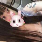 ヒメ日記 2026/04/28 08:12 投稿 クロミ ジャパンクラブ富士