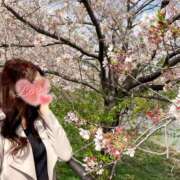 ヒメ日記 2026/04/13 09:26 投稿 きさき☆ハイクラス美女☆ 京都Jewel