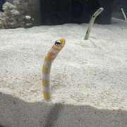 ヒメ日記 2026/03/31 10:57 投稿 みく ラブコレ