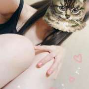 ヒメ日記 2025/12/22 13:42 投稿 ほの 白いぽっちゃりさん