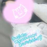 ヒメ日記 2026/01/16 11:12 投稿 ほの 白いぽっちゃりさん