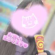 ヒメ日記 2026/02/02 08:42 投稿 ほの 白いぽっちゃりさん