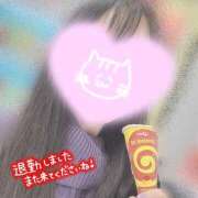 ヒメ日記 2026/02/17 02:42 投稿 ほの 白いぽっちゃりさん