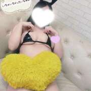 ヒメ日記 2026/04/08 21:48 投稿 ほの 白いぽっちゃりさん