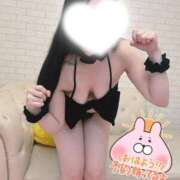 ヒメ日記 2026/04/09 09:58 投稿 ほの 白いぽっちゃりさん