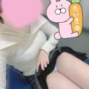 ヒメ日記 2026/04/09 16:30 投稿 ほの 白いぽっちゃりさん