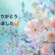 ヒメ日記 2025/12/21 20:09 投稿 まるみ SUZUME