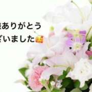 ヒメ日記 2025/12/23 01:39 投稿 まるみ SUZUME