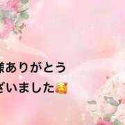 ヒメ日記 2025/12/24 09:19 投稿 まるみ SUZUME