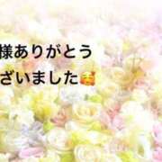 ヒメ日記 2025/12/24 09:20 投稿 まるみ SUZUME