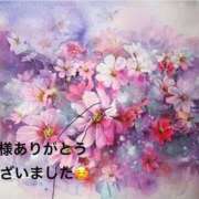 ヒメ日記 2025/12/24 21:39 投稿 まるみ SUZUME