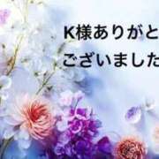 ヒメ日記 2025/12/25 01:09 投稿 まるみ SUZUME