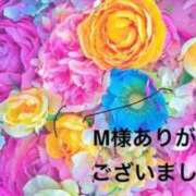 ヒメ日記 2026/01/09 19:49 投稿 まるみ SUZUME