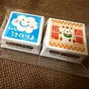 ヒメ日記 2026/01/11 15:09 投稿 まるみ SUZUME