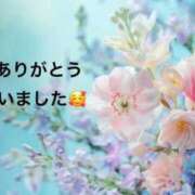 ヒメ日記 2026/01/11 18:59 投稿 まるみ SUZUME