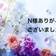 ヒメ日記 2026/01/12 02:29 投稿 まるみ SUZUME