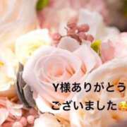 ヒメ日記 2026/01/12 02:39 投稿 まるみ SUZUME