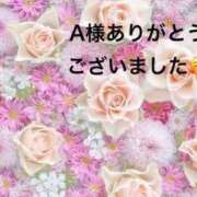 ヒメ日記 2026/01/18 15:39 投稿 まるみ SUZUME
