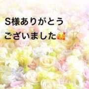 ヒメ日記 2026/01/18 15:59 投稿 まるみ SUZUME