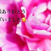 ヒメ日記 2026/01/24 23:19 投稿 まるみ SUZUME