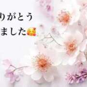 ヒメ日記 2026/01/26 00:09 投稿 まるみ SUZUME