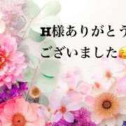 ヒメ日記 2026/02/19 01:19 投稿 まるみ SUZUME