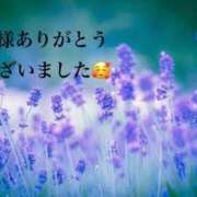 ヒメ日記 2026/02/19 01:59 投稿 まるみ SUZUME