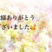 ヒメ日記 2026/02/19 18:59 投稿 まるみ SUZUME