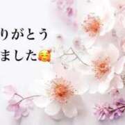 ヒメ日記 2026/02/26 19:06 投稿 まるみ SUZUME