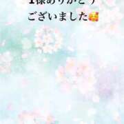 ヒメ日記 2026/03/08 23:39 投稿 まるみ SUZUME