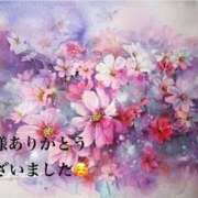 ヒメ日記 2026/03/15 01:49 投稿 まるみ SUZUME