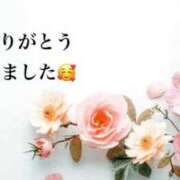 ヒメ日記 2026/03/15 20:19 投稿 まるみ SUZUME