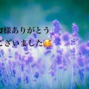 ヒメ日記 2026/03/28 09:29 投稿 まるみ SUZUME