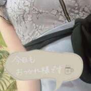 ヒメ日記 2026/04/02 19:59 投稿 まるみ SUZUME