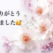 ヒメ日記 2026/04/08 21:59 投稿 まるみ SUZUME