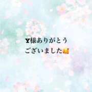 ヒメ日記 2026/04/08 22:19 投稿 まるみ SUZUME