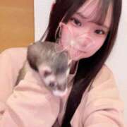 夢咲なのは なのはさん飼い主してます Claris Tokyo～クラリス東京～