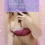 ヒメ日記 2026/01/15 15:57 投稿 すてら 熟女の風俗最終章 新宿店