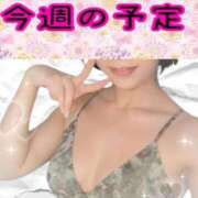 ヒメ日記 2026/05/11 01:22 投稿 すてら 熟女の風俗最終章 新宿店