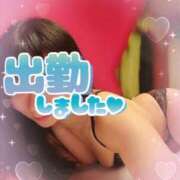 ヒメ日記 2026/03/19 00:42 投稿 すてら 熟女の風俗最終章 池袋店